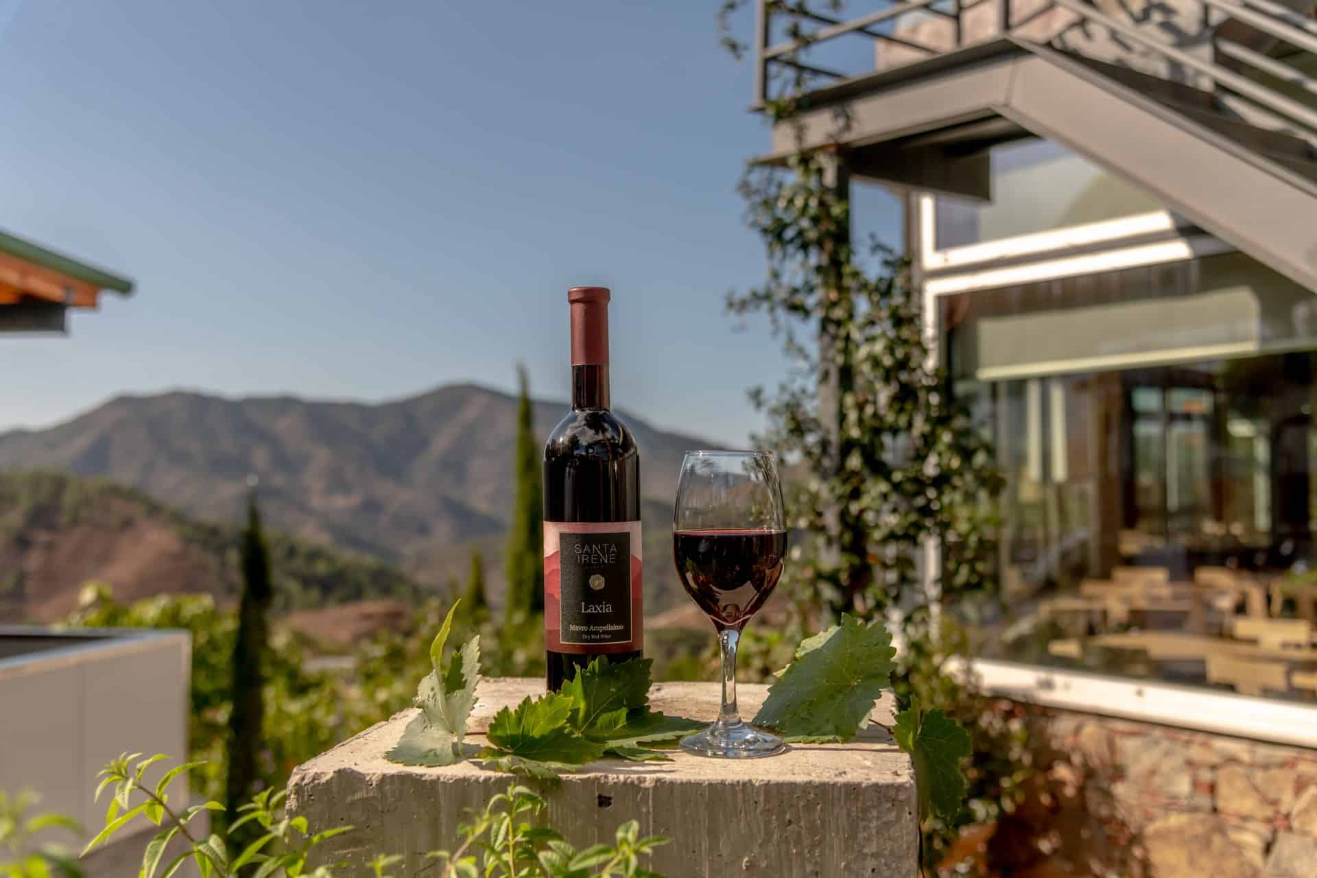 Wine and food pairing in Cyprus with estate wines and Mediterranean cuisine at Ierambelos Restaurant in Farmakas