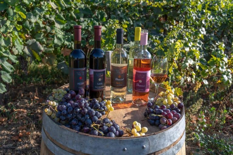 Wine tasting in Troodos Mountains at Santa Irene Winery in Farmakas with panoramic vineyard and mountain views