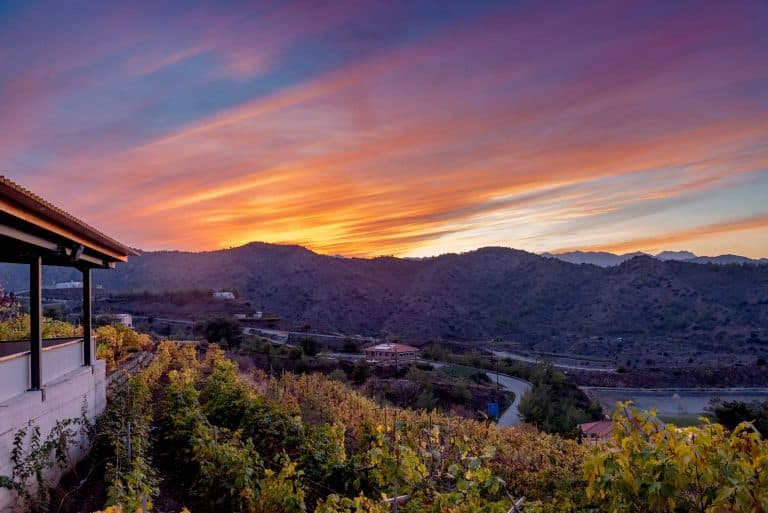 Event venue in Cyprus at Ierambelos in Farmakas surrounded by vineyards and mountain views